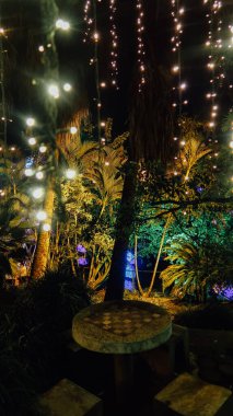 ARMENIA, COLOMBIA - CIRCA JANUARY 2020: Antioquia 'nın Ermenistan kentindeki parkta Noel süsleri ve festival ışıkları.