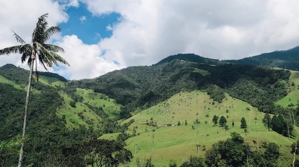 Salento Kolumbien Circa Januar 2020 Blick Auf Die Naturlandschaft Cocora — Stockfoto