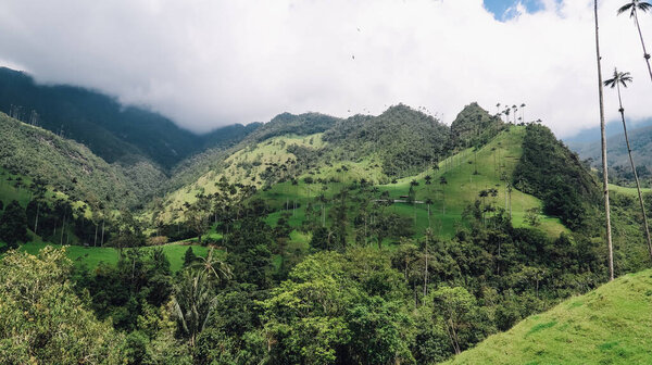 SALENTO, COLOMBIA - CIRCA JANUARY 2020: view of natural lanscapes in Cocora Valley with green mountains, hills and tall palm trees on a sunny day with white clouds.