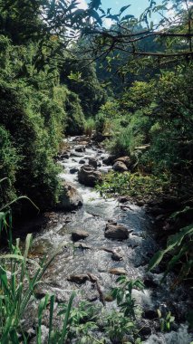 JARDIN, COLOMBIA - CIRCA JANUARY 2020: Dağdaki küçük hızlı nehir ve Antioquia 'daki küçük Jardin kasabası yakınlarındaki yeşil doğal manzara güneşli bir günde.