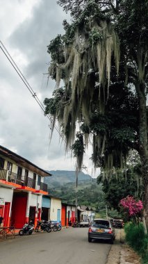 JARDIN, COLOMBIA - CIRCA JANUARY 2020: Antioquia 'nın küçük Jardin kasabasındaki renkli sokaklardaki geleneksel binaların ve balkonların parlak boyanmış kapıları.