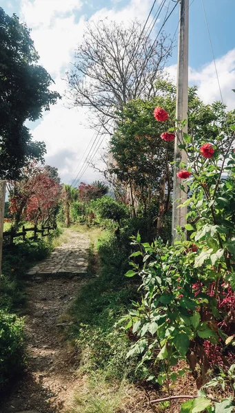 Jardin Colombia Circa Janeiro 2020 Caminho Paralelepípedos Natureza Com Belas — Fotografia de Stock