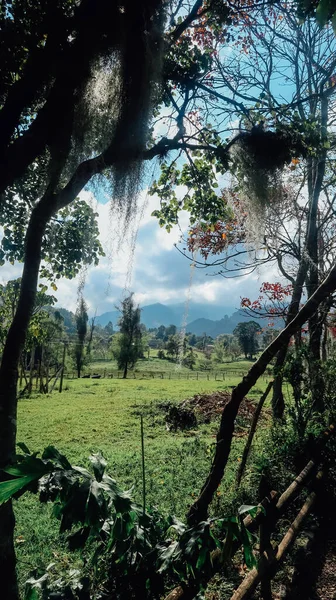 Jardin Colombia Circa Styczeń 2020 Brukowa Ścieżka Przyrodzie Pięknymi Roślinami — Zdjęcie stockowe