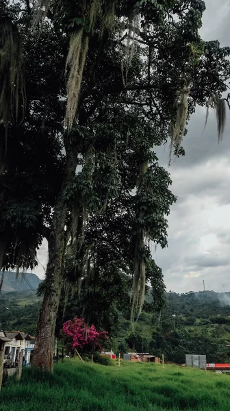 Jardin Colombia Circa Styczeń 2020 Widok Zielone Góry Pochmurny Dzień — Zdjęcie stockowe