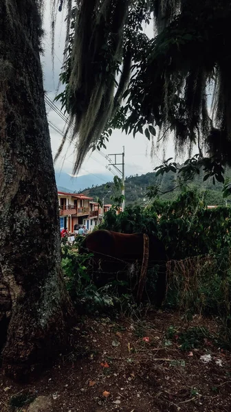 Jardin Colombia Circa January 2020 View Green Mountains Cloudy Day — 图库照片