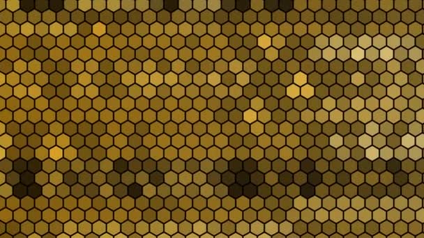 一对金黄色的肺泡上有深度变焦的蜜蜂蜂窝 — 图库视频影像
