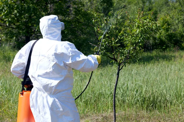 Pesticid sprutning. Växtskydd. — Stockfoto