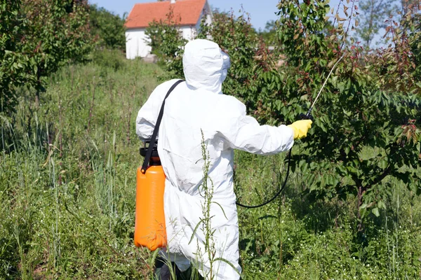Pesticid sprutning. Växtskydd. — Stockfoto