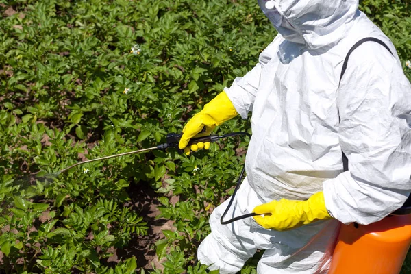 Bonde sprutning giftiga bekämpningsmedel i grönsakslandet. Icke-organiska — Stockfoto