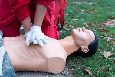 Sağlık görevlisi Kardiyopulmoner resüsitasyon - Cpr kukla üzerinde göstermek.