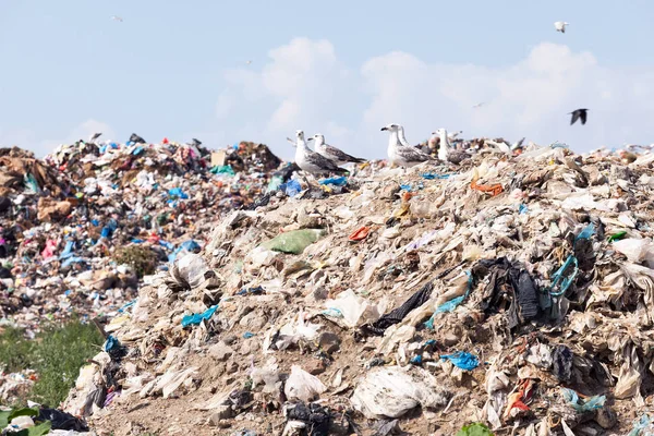 Discarica. Scarichi di rifiuti . — Foto Stock