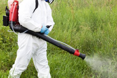 Worker in protective workwear spraying herbicide on ragweed. Hay fever concept.