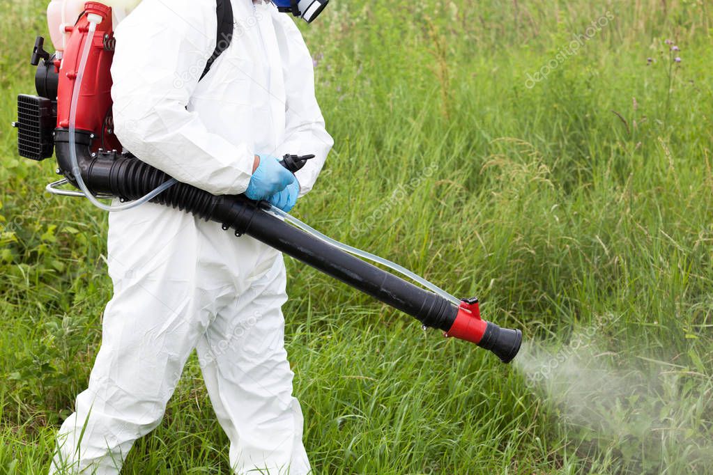 Worker in protective workwear spraying herbicide on ragweed. Hay fever concept.