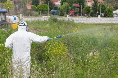 Böcek ilaçlama haşere kontrol işçi