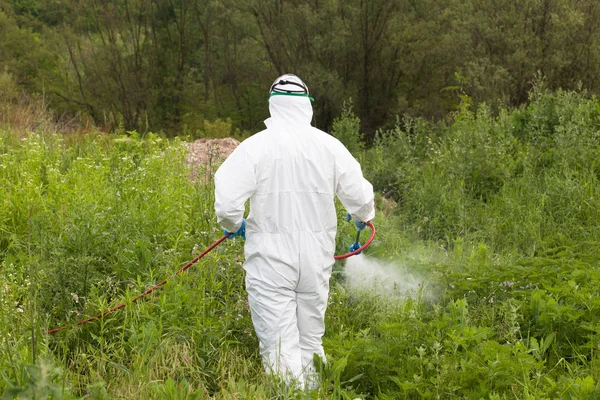 害虫制御の労働者が殺虫剤を散布 — ストック写真