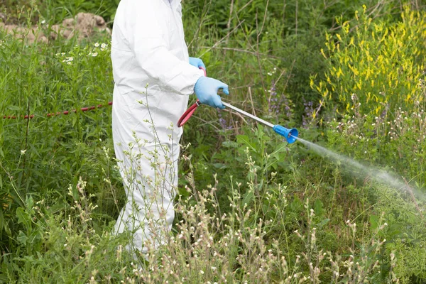 Trabalhador Vestuário Trabalho Proteção Pulverizando Herbicida Ragweed Conceito Febre Feno — Fotografia de Stock