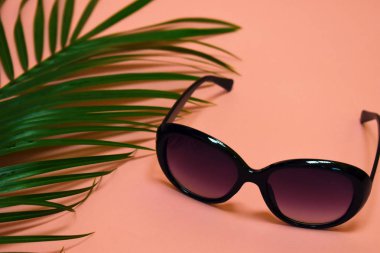 Güneş gözlüğü ve palmiye yaprağı. Tropiklerde seyahat ve tatil kavramı.