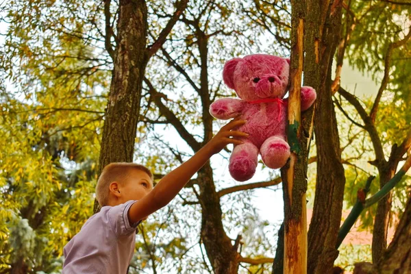 Anak itu menyelamatkan mainannya. Seorang anak laki-laki meraih mainan di pohon . — Stok Foto