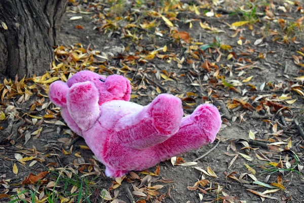 Mainan yang hilang. Boneka beruang yang terlupakan tergeletak di tanah . — Stok Foto