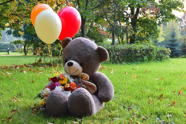 Big teddy bear with balloons on the grass. Beautiful autumn has come