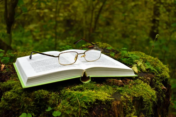 Un libro abierto yace en un tocón en el bosque. Gafas y un libro en el parque —  Fotos de Stock