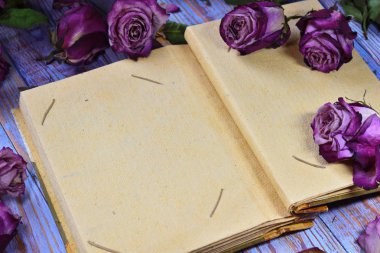 Kuru tomurcukların ve fotoğraf albümünün çok güzel bir fotoğrafı. Hayatın kırılganlığı. Metnin için yeri olan Kraft kağıt boş fotoğraf albümü