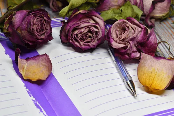 Personal diary and dry roses. Notepad and decorative dried flowers. Vintage photo with dried purple buds and a notebook for writing. — Stock Photo, Image