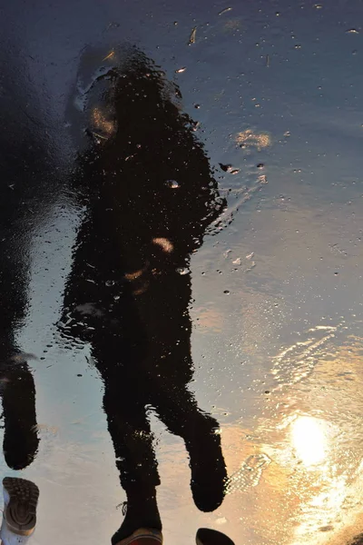 Темные тени людей на мокрой тротуаре. Силуэты человека отражаются на мокрой дороге . — стоковое фото