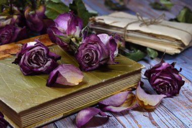 Anılar yazıyorum. Geçmişin anıları. Kuru çiçekli eski bir fotoğraf ve bir albüm.