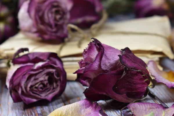 Withering and fragility of life. Nostalgic melancholy background with dry flowers. Wistful memories of the past. — Stock Photo, Image