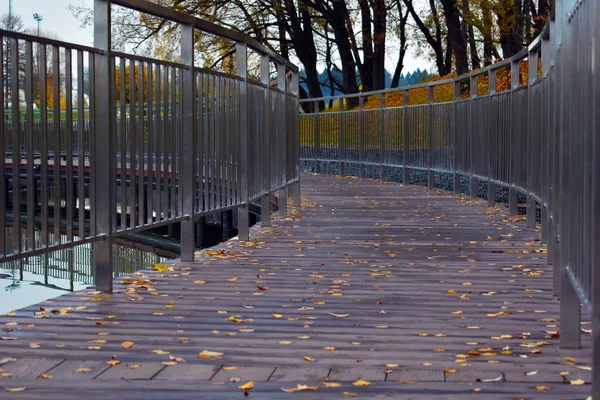 Beautiful  promenade path on the city pond. Wooden bridge with metal railing in park. — Stock Photo, Image