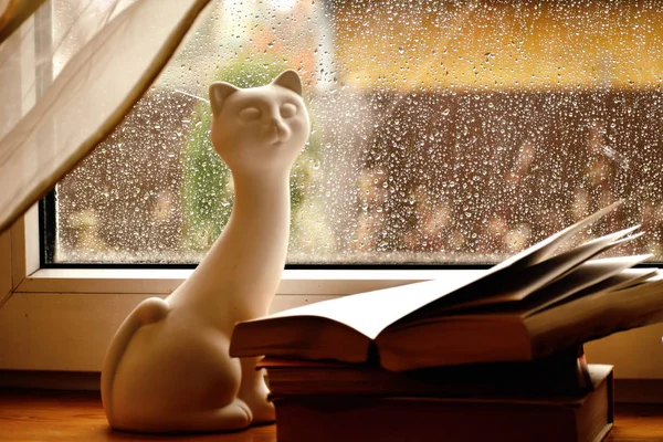 Pluie devant la fenêtre. Livres sur fenêtre en bois. Des gouttes de pluie s'égouttent sur la fenêtre . — Photo