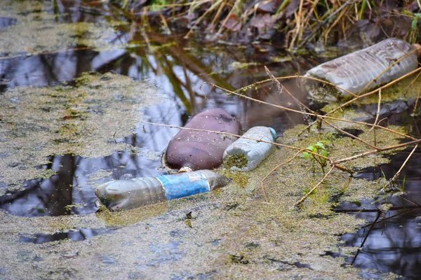 Пластиковая бутылка в реке. Засорение окружающей среды . — стоковое фото