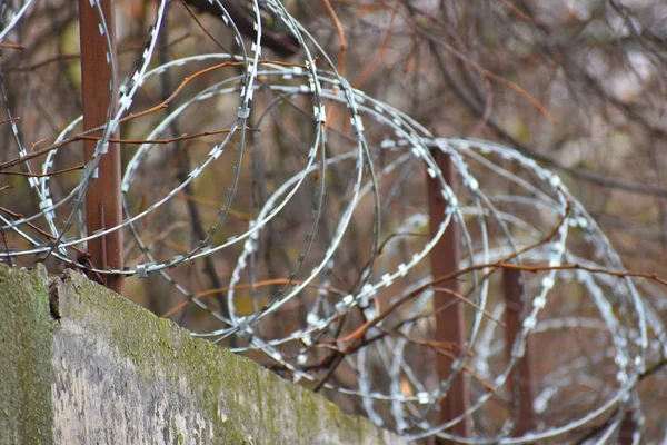 Arame farpado de metal na cerca. — Fotografia de Stock