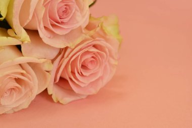 Nazik arka planda pembe çiçekler. Metnin için hassas kartpostal