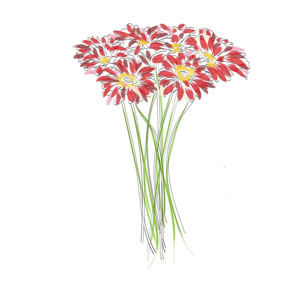 Red Flowers Isolate Daisies Greeting Card Watercolor Style — Stock Photo, Image