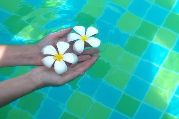 Palmas femininas com flores brancas na água. Água de spa de beleza . — Fotografia de Stock