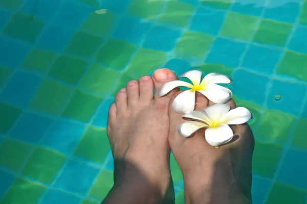 Pernas femininas e flores brancas na piscina. Água fundo romântico com pernas . — Fotografia de Stock