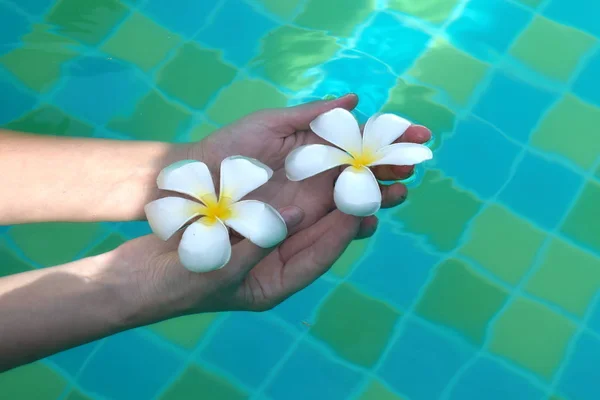 Flores brancas em palmas em água. Recreação na piscina . — Fotografia de Stock