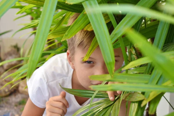 Der Junge versteckt sich im Gebüsch. Versteck und Autotür. Kinder spionieren. Spiel in den Tropen. Blick hinter die Büsche. — Stockfoto