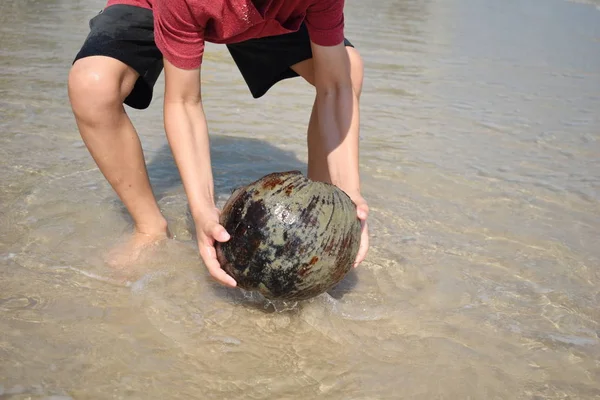 Het kind vond de kokosnoot in de zee. Een jongen speelt met een grote kokosnoot. Gelukkig kind op zee. Kinderen die op het strand spelen. — Stockfoto