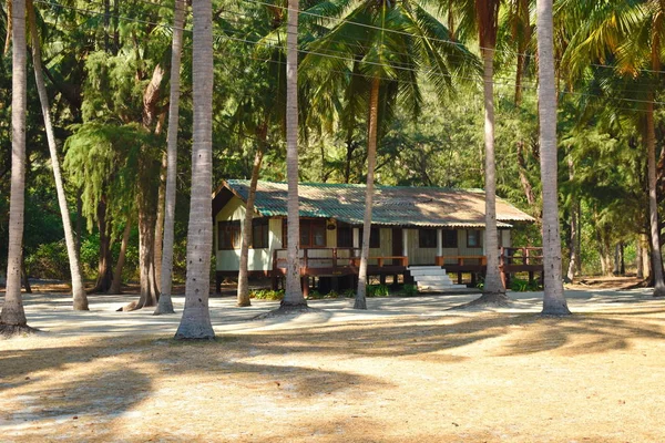 Aluguer de habitação em trópicos. Casa na selva. Casa de madeira na floresta. Sala aconchegante na floresta tropical. Um lugar agradável e tranquilo ao ar livre . — Fotografia de Stock