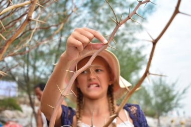 Kız dikenli dikene takıldı. Ağaçta keskin iğneler var. Dikenli yoğun dikenli çalı. Çocuk otopsi yaparken parmağını kesti. Gül.