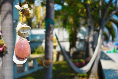 Tropikal bir tatil. Denizin geri kalanı için manzara manzarası. Yolculuk. Okyanusta tatilin zevki. Adada dinlenme.