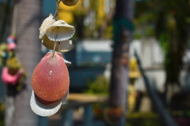 Tropikal bir tatil. Denizin geri kalanı için manzara manzarası. Yolculuk. Okyanusta tatilin zevki. Adada dinlenme.
