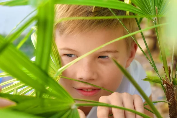 Мальчик шпионит в траве. Ребенок сидит под пальмами. шпионаж за людьми . — стоковое фото