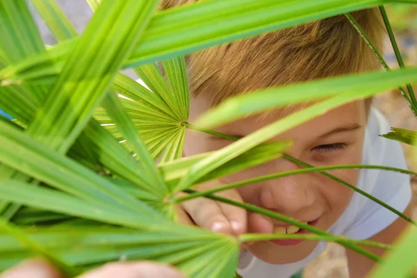 Mata-mata kecil di rumput. Anak itu bersembunyi di rumput hijau . — Stok Foto