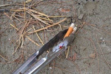 Doğanın çevresel sorunları. Temiz bir okyanusun korunması. Çevre kirliliği riski.