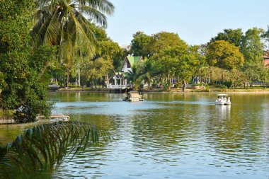 Tayland 'da bir şehir. Bangkok güzel bir şehir. Şehirde orman var..