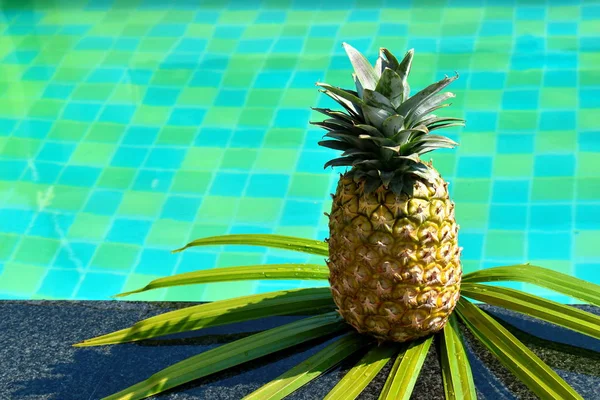 De ananas in het bestuur van het autdoor zwembad. een tropisch fruit voor het ontbijt — Stockfoto